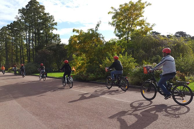 2h - Electric Bike Tour of Lyon with a Local Guide - Why an electric bike works so well in Lyon