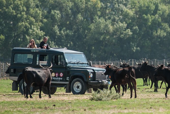 3.5 Hour Camargue 4x4 Safari from Le Grau-du Roi - The wine tasting and local snack