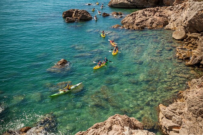 3 Hour of Sea Kayak Trip in the Creeks of Sete - Key points at a glance