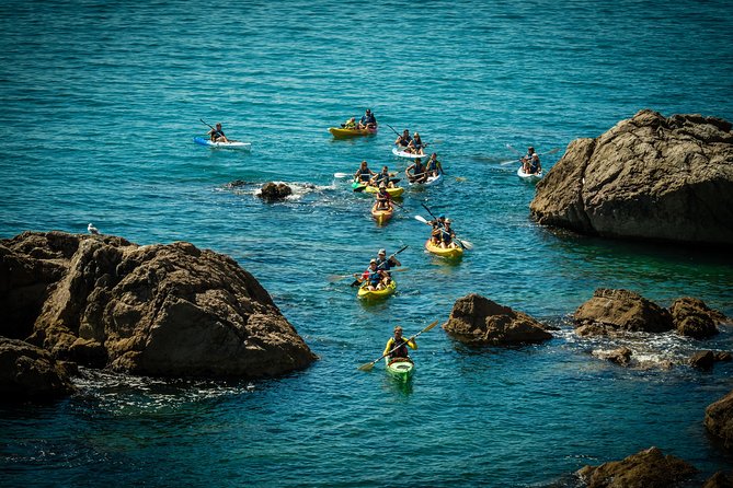 3 Hour of Sea Kayak Trip in the Creeks of Sete - Along Sète’s Corniche and its small caves