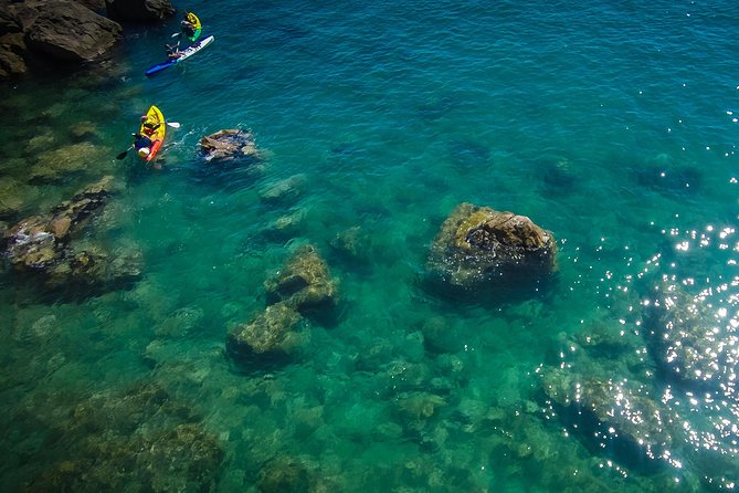 3 Hour of Sea Kayak Trip in the Creeks of Sete - Starting at KayakMed on the Saint-Louis pier