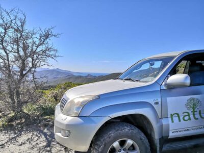 4×4 Agriates Desert and Beach Excursion from Calvi