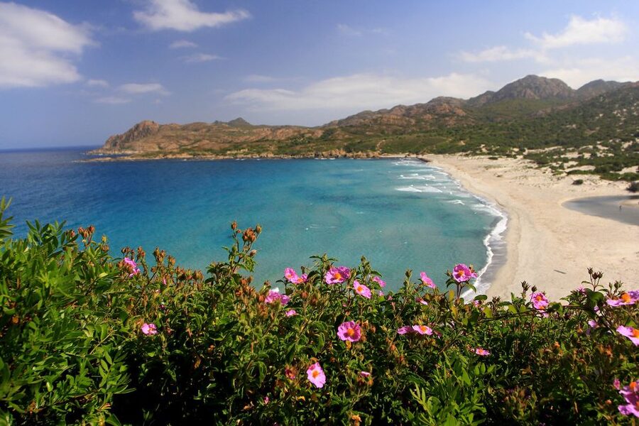 4x4 Agriates Desert and Beach Excursion from Calvi - What the nine-hour schedule feels like