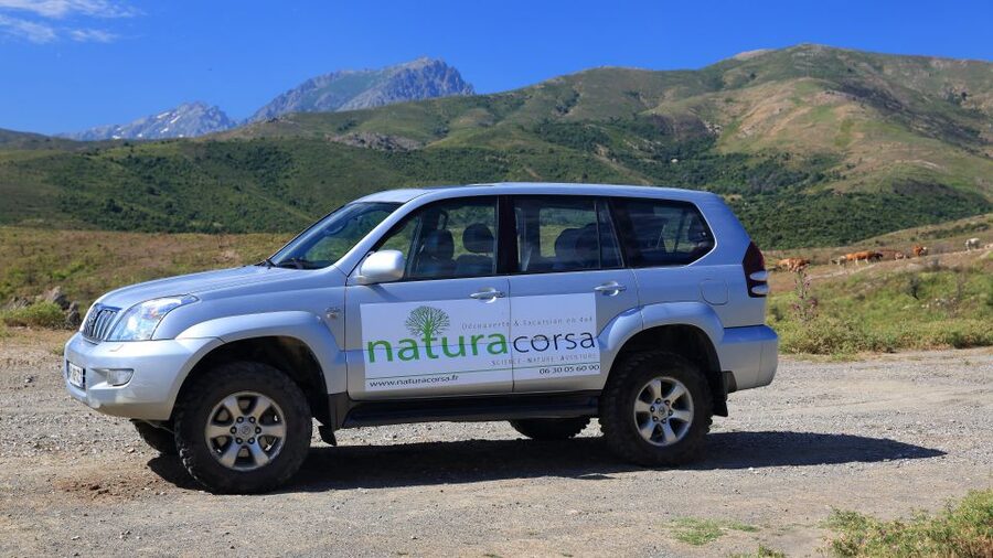 4x4 Agriates Desert and Beach Excursion from Calvi - Who will enjoy this excursion most