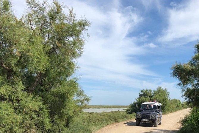 4x4 Camargue Safari 4h - Departure from Arles - Why the Camargue works best from a 4x4