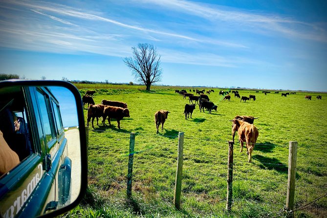 4x4 Camargue Safari 4h - Departure from Arles - Thirty minutes in Saintes Maries de la Mer