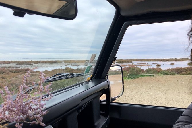 4x4 Camargue Safari 4h - Departure from Arles - Wildlife sightings: horses, bulls, and flamingos