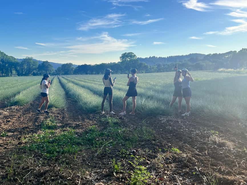Aix-en-Provence: E-Bike Tour of Mount Sainte-Victoire - Viewpoints over Mount Sainte-Victoire and the reservoir