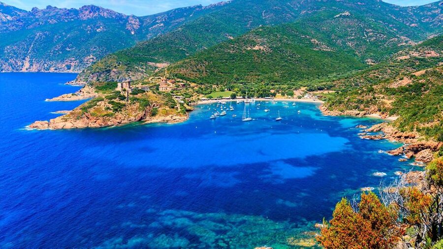 Ajaccio: Guided Scandola Nature Reserve Boat Tour - The final stop at Anse de Cala di Pala