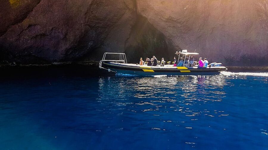 Ajaccio: Guided Scandola Nature Reserve Boat Tour - What the $117 price buys you