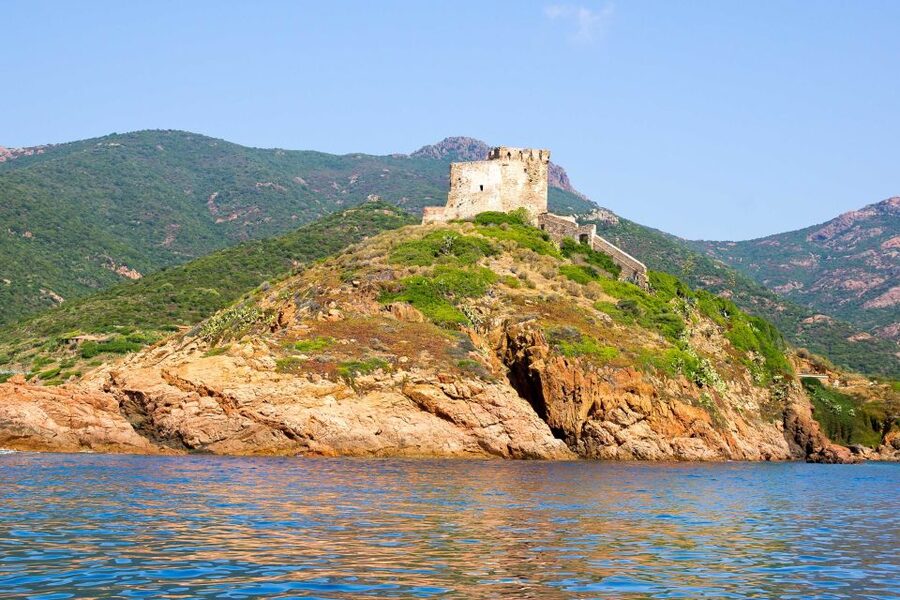 Ajaccio/Porticcio: Scandola Nature Reserve Guided Boat Tour - The Gulf of Porto links the reserve and Piana