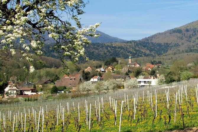 Alsace 4 Wonders Small-Group Day Trip from Colmar - Eguisheim first, before the crowds build