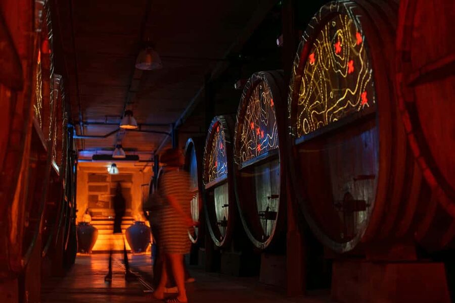 Alsace: Alsatian Wine Tasting Tour and Alsatian Lunch - At Au Péché Vigneron, the cellar tells the story