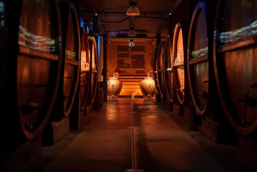Alsace: Alsatian Wine Tasting Tour and Alsatian Lunch - The immersive dining room, with a practical caveat