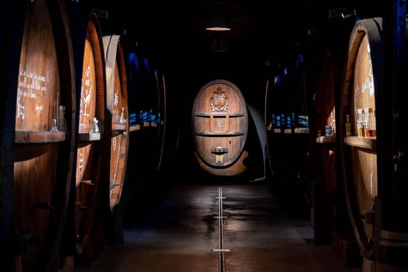 Alsace: Alsatian Wine Tasting Tour and Alsatian Lunch - Who will get the most from this wine tour?