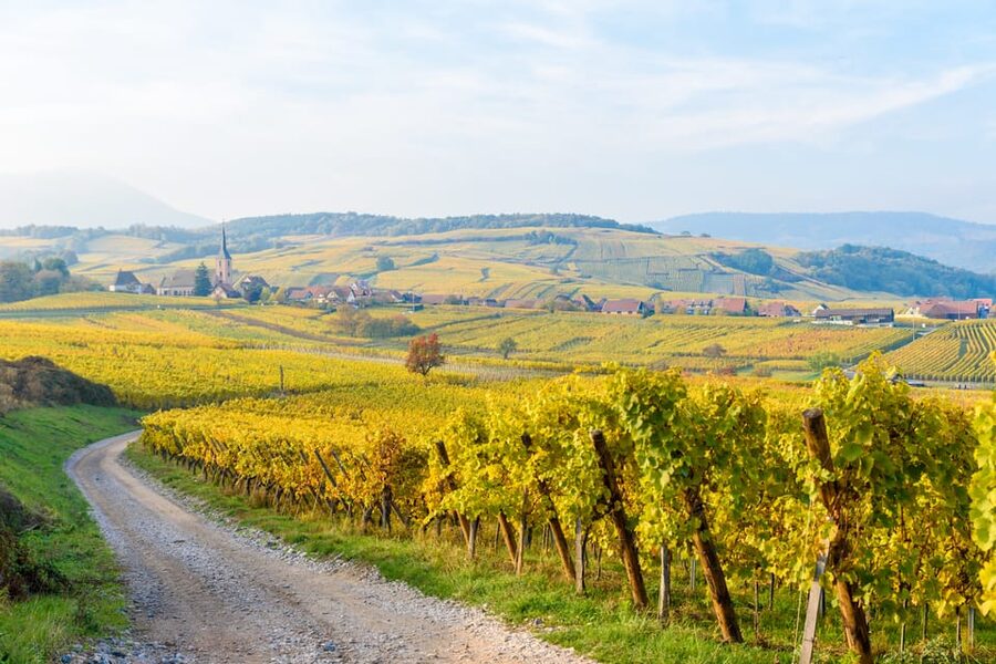 Alsace: Full-Day Wine Tour & Tastings from Strasbourg - Why this Alsace day is more than a tasting