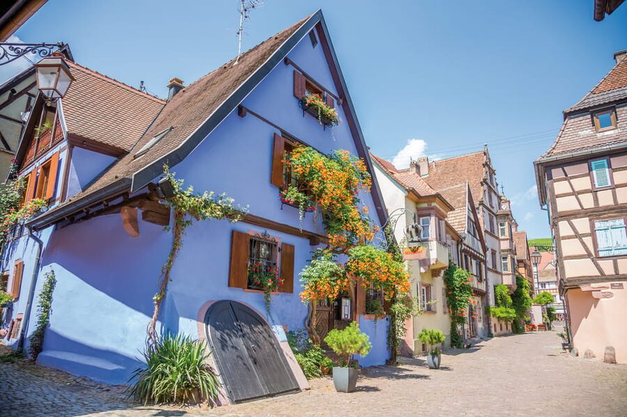 Alsace: Full-Day Wine Tour & Tastings from Strasbourg - Lunch and a medieval village walk