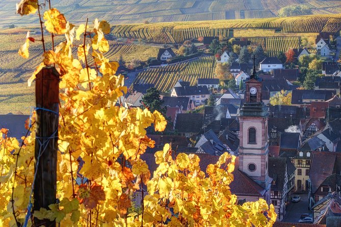 Alsace: Half-Day Wine Tour from Colmar - Key points at a glance