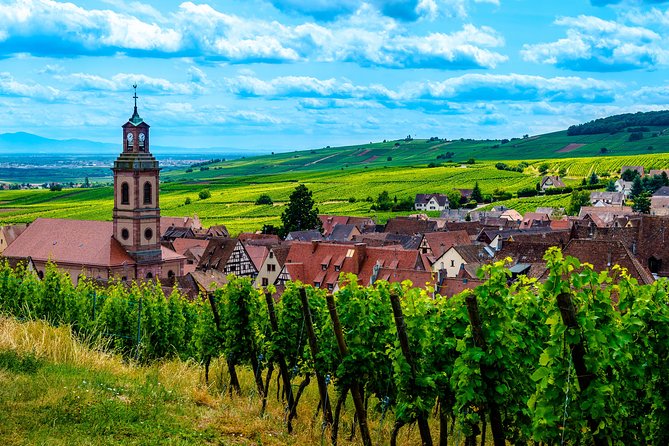 Alsace: Half-Day Wine Tour from Colmar - Why this half-day tour works well from Colmar