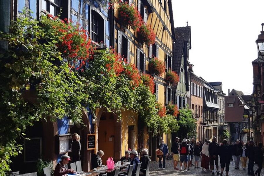 Alsace: Half-Day Wine Tour from Colmar - The booking decision