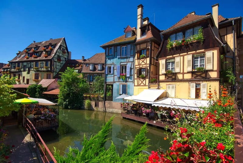 Alsace Half-Day Wine Tour from Strasbourg - Understanding the seven Alsace wine types
