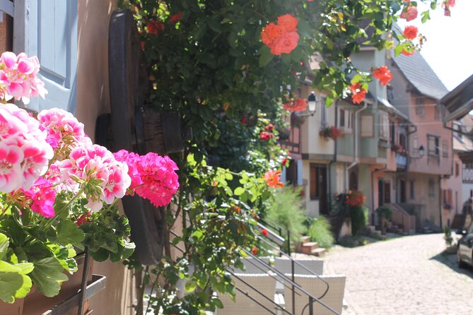 Alsace Wine Route Small Group Half-Day Tour with Tasting from Strasbourg - Why Alsace wine tastes different