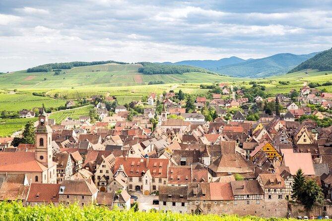 Alsace Wine Route Small Group Half-Day Tour with Tasting from Strasbourg - Second winery: cellar atmosphere and a broader comparison