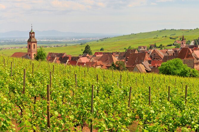 Alsace Wine Route Small Group Half-Day Tour with Tasting from Strasbourg - What the four-hour schedule feels like
