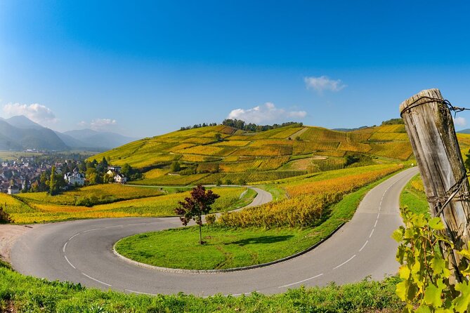 Alsace Wine Route Small Group Half-Day Tour with Tasting from Strasbourg - The food warning is worth taking seriously