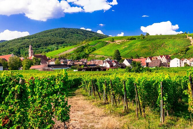 Alsace Wine Route Small Group Half-Day Tour with Tasting from Strasbourg - Which guide can make the difference