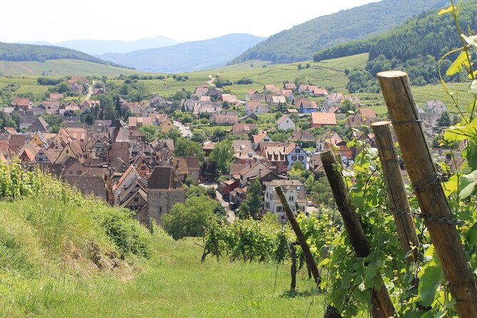 Alsace Wine Route Small Group Half-Day Tour with Tasting from Strasbourg - First winery: family scale and local character