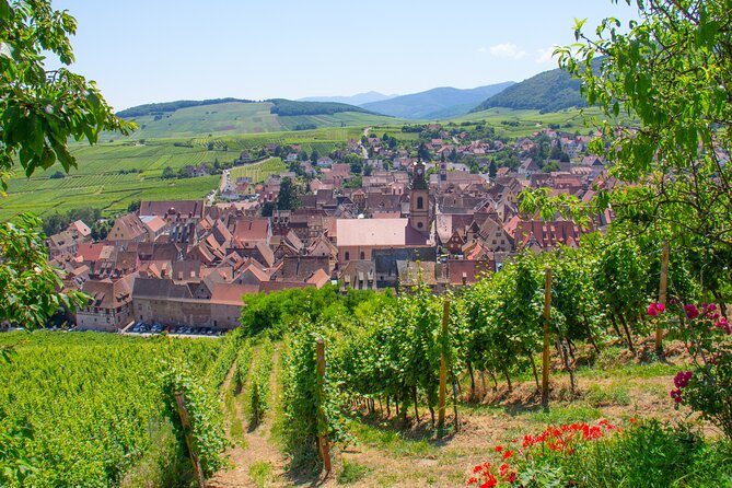 Alsace Wine Route Wineries & Tasting Small Group Guided Tour from Strasbourg - The final tastings and Alsace wine families