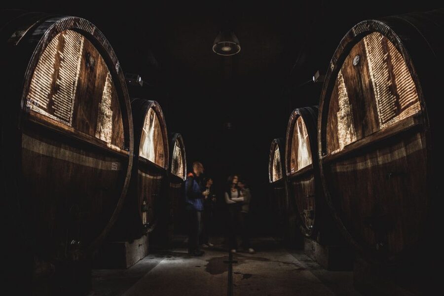 Alsatian Guided Wine Tasting and Immersive wine cellar tour - A cellar tour with a film built into the barrels
