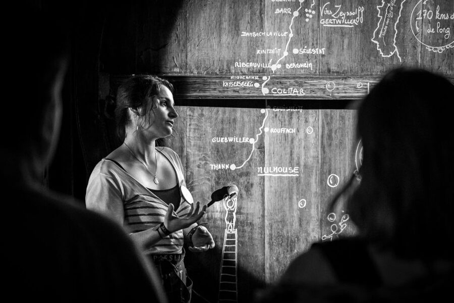 Alsatian Guided Wine Tasting and Immersive wine cellar tour - FAQ