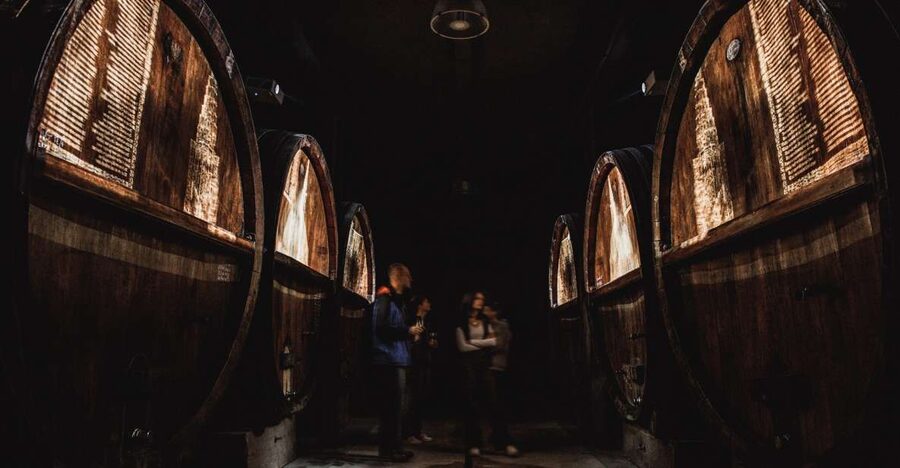Alsatian Guided Wine Tasting and Immersive wine cellar tour - How the 90-minute visit unfolds