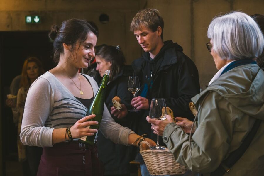 Alsatian Guided Wine Tasting and Immersive wine cellar tour - The guide makes a difference