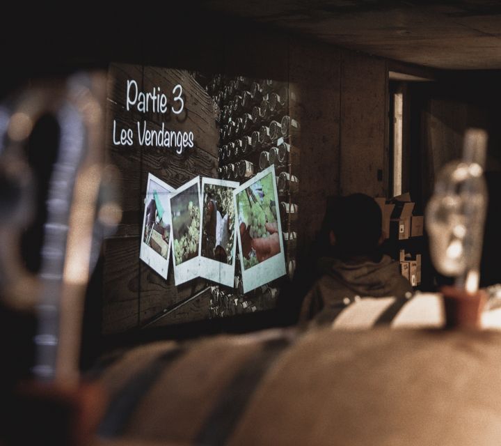 Alsatian Guided Wine Tasting and Immersive wine cellar tour - Who will enjoy this wine experience most