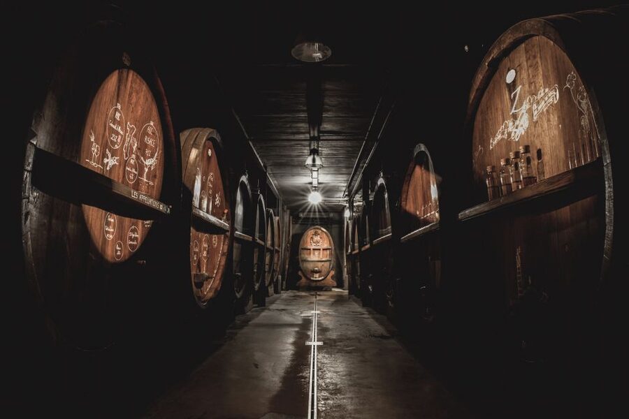 Alsatian Guided Wine Tasting and Immersive wine cellar tour - Should you book Vins Zeyssolff?