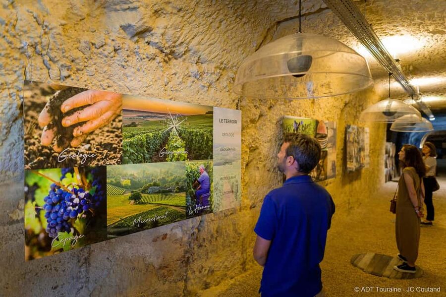 Amboise: Caves Ambacia Visit and Wine Tasting - Six wines, cheese, and charcuterie
