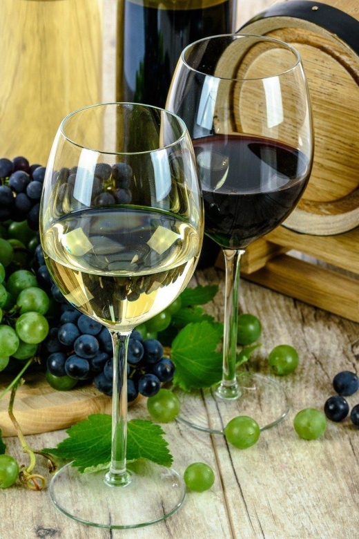 Aperitive guided cruise « Wine and Canelé » - My call: book it for the river view, not the snack