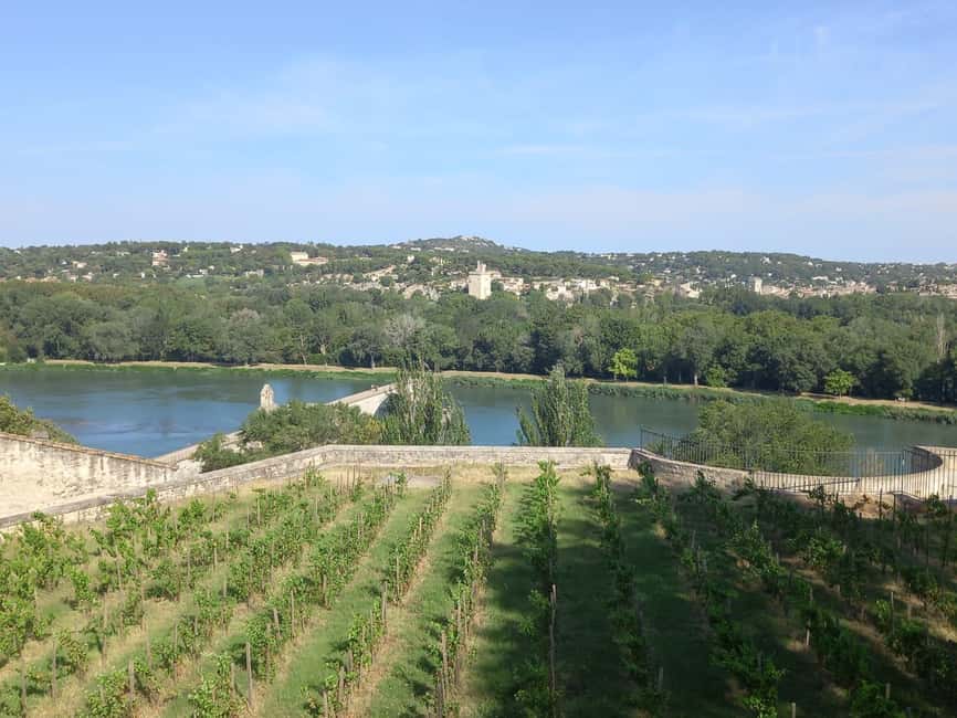 Avignon: City Walking Tour with Popes Palace Entry - Who will enjoy this tour most