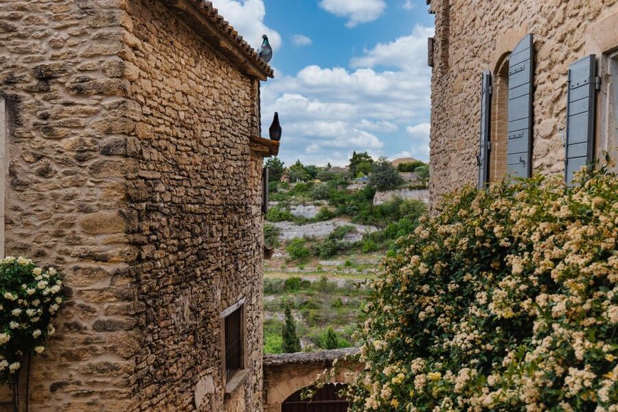 Avignon: Full-Day Châteauneuf du Pape Wines & Luberon Tour - Lacoste and the Marquis de Sade castle
