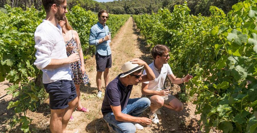 Avignon: Full-Day Châteauneuf du Pape Wines & Luberon Tour - Pont Julien, a Roman bridge with no fuss
