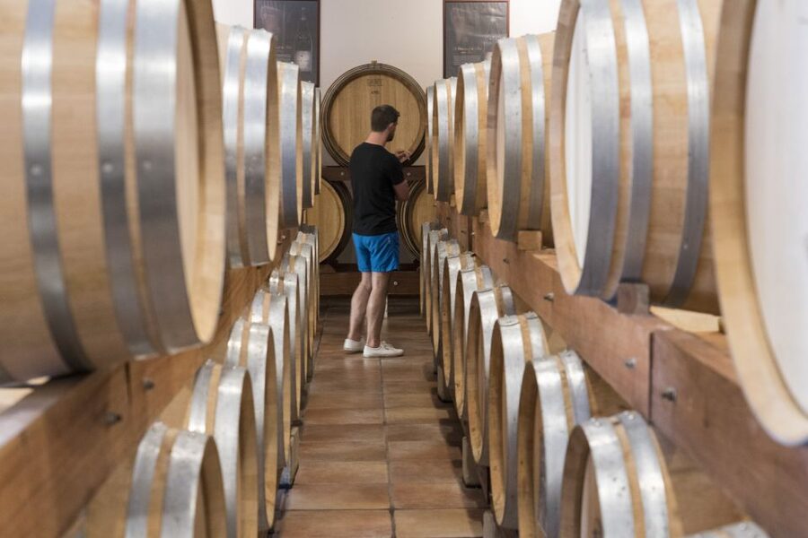 Avignon: Full-Day Châteauneuf du Pape Wines & Luberon Tour - Roussillon and the ochre cliffs