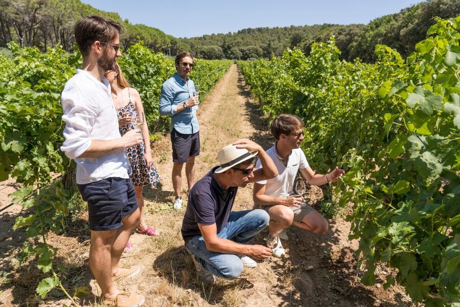 Avignon: Full-Day Châteauneuf du Pape Wines & Luberon Tour - What the guide and vehicle add