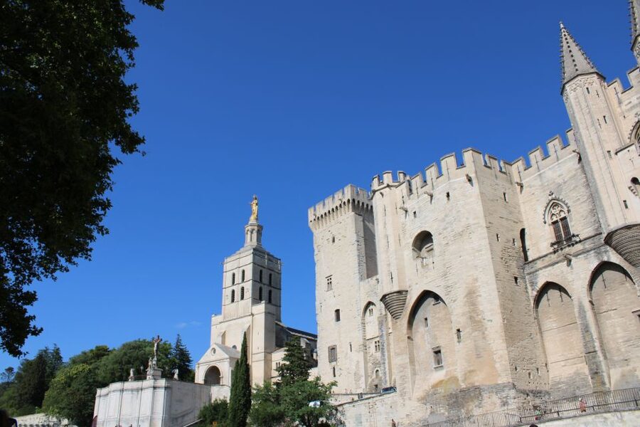 Avignon: Historic District Guided Food & Wine Walking Tour - Les Halles, Avignon’s best food stop