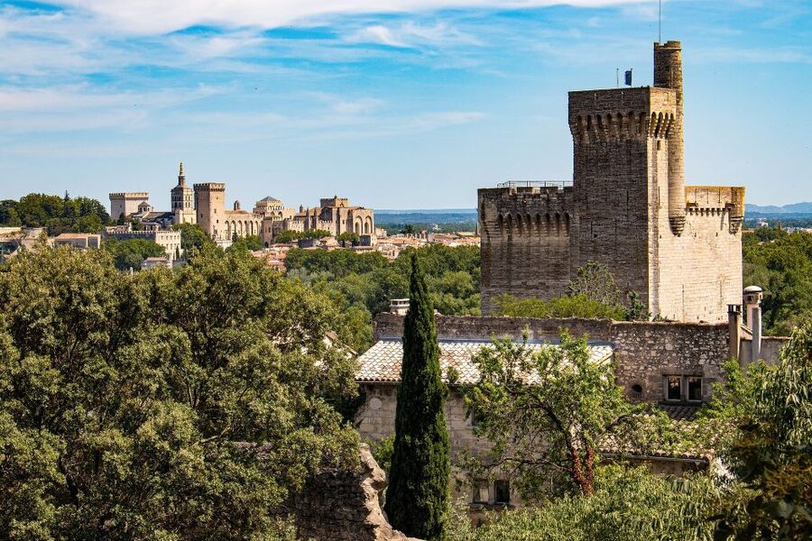 Avignon: Private Walking Tour – Discover History & Heritage - Why Avignon’s papal past gives this walk its shape