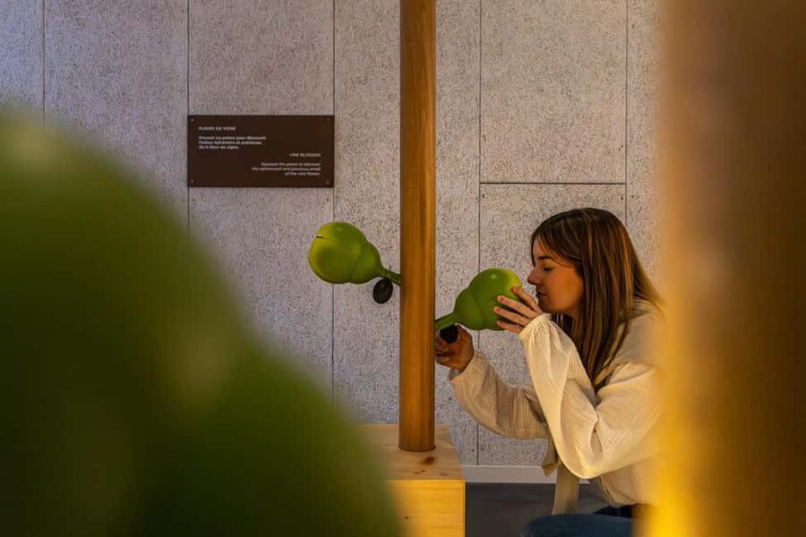 Aÿ-Champagne: Pressoria Champagne Museum with Tasting - Why Pressoria is different from a standard Champagne visit