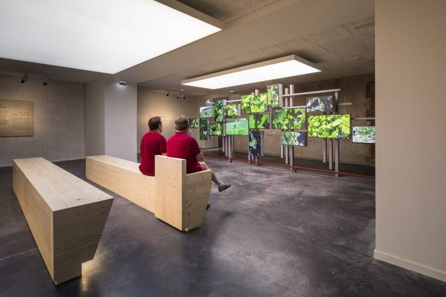 Aÿ-Champagne: Pressoria Champagne Museum with Tasting - A sensory visit that works for families