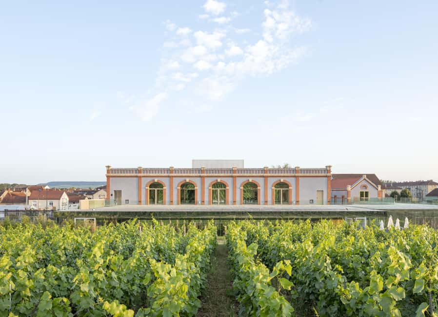 Aÿ-Champagne: Pressoria Champagne Museum with Tasting - From the hillside to the museum entrance